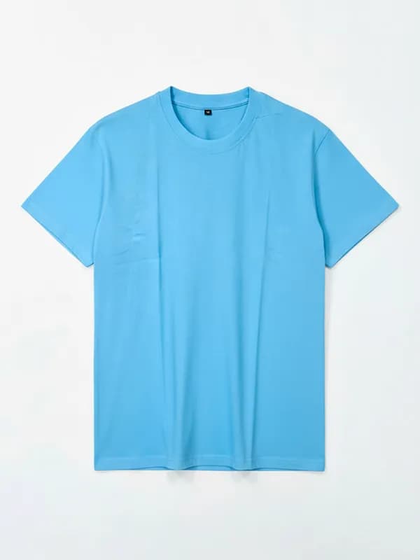 Light Blue Regular T-shirts